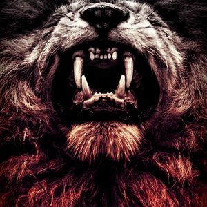 Meet your Posher, Kristoff